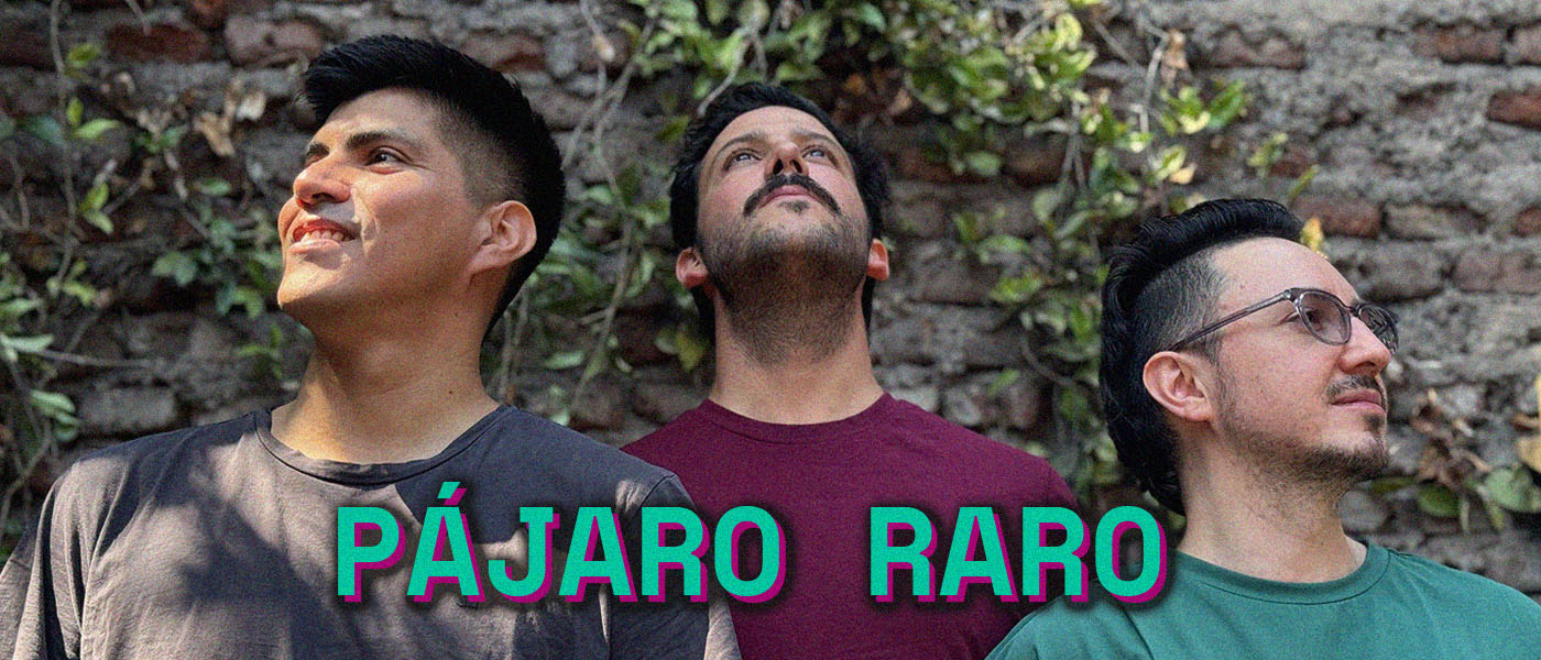 banda pajaro raro sello sinfin